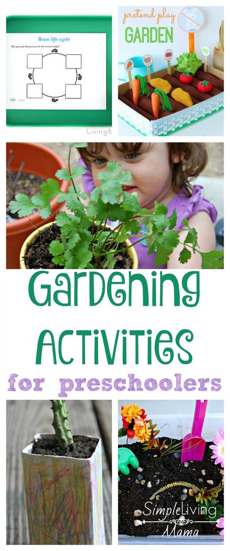 Gardening For Preschoolers Lesson Plans, Creative Curriculum Gardening Study, Garden Preschool Activities, Gardening Activities For Preschoolers, Gardening Preschool, Preschool Gardening, Garden Theme Classroom, Garden Preschool, Plant Lessons