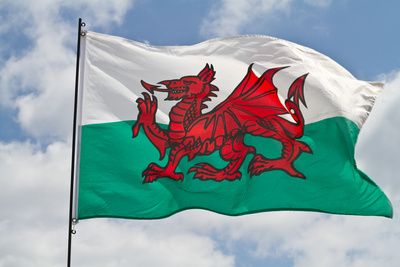 Y Ddraig Goch: The Story of the Welsh Red Dragon Pt 1 Y Ddraig Goch, Welsh Ancestry, Battle Standard, 6 Nations, The Red Dragon, Wales Flag, Celtic Nations, Welsh Language, Welsh Flag