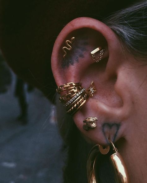 Piercings Aesthetic, Face Piercings, Ear Style, Body Modification, Gold Face, Gold Aesthetic, Goth Jewelry, Some Body, Body Piercings