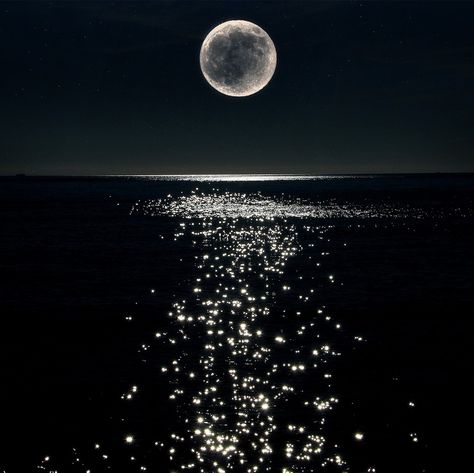 Full Moon shining high in the sky over the water, lighting up the night skies. Description from pinterest.com. I searched for this on bing.com/images Sky Scapes, Water Tattoo, Night Sky Photography, Moonlit Sky, Simple Acrylic Paintings, Art Diary, The Full Moon, Stars At Night, Nature Design