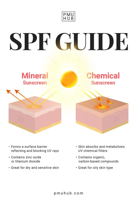 Sunscreen Oily Skin, How To Layer Skin Care Products, Best Mineral Sunscreen, Sunscreen For Oily Skin, Best Sunscreen, Sunscreen Aesthetic, Skin Anatomy, Sunscreen For Sensitive Skin, Skin Facts