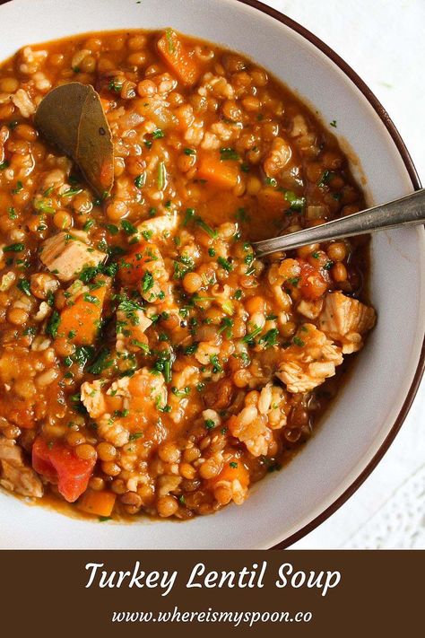 Ground Turkey Lentil, Lentil Soup Instant Pot, Turkey Lentil Soup, Turkey Lentil, Turkey Pieces, Fiber Recipes, Ground Turkey Soup, Red Lentil Soup Recipe, Lentil Vegetable Soup