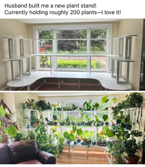 Sunroom House, Small Sunroom, Goth Garden, Plant Window, Themed Kitchen, Plants And Gardening, House Plants Decor, House Plant Care, Garden Yard Ideas