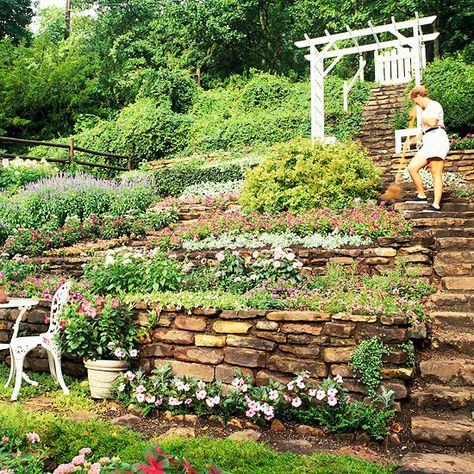 Steep hillside  -- resting spots, casual style & white pergola / gate draws eye Sloped Backyard Landscaping, Terraced Landscaping, Landscaping A Slope, Landscaping On A Hill, Sloped Yard, Hillside Garden, Sloped Backyard, Hillside Landscaping, Garden On A Hill