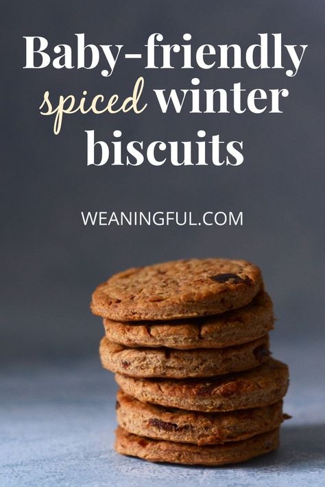 These baby-friendly spiced winter biscuits are a great alternative to gingerbread and sugar-free too. You can make these with your kids and enjoy eating them together as Christmas cookies why not? Weaning Ideas, Sugar Free Biscuits, Gift In A Jar, Baby Led Weaning First Foods, Kid Meals, Baby Led Feeding, Baby Meals, Foods Ideas, Meals Ideas