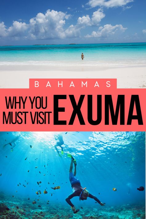 Why you must visit #Exuma Bahamas top place to visit. Experience the authentic Bahamas in the Exuma Cays – which are a collection of over 360 islands within the Bahamas archipelago. Our top things to do in Exuma include the Swimming Pigs at Pig Beach, swimming with Sharks at Compass Cay and diving into the James Bond Thunderball Grotto. #bahamas Thunderball Grotto, James Bond Thunderball, Exuma Pigs, Bahamas Pigs, Bahamas Travel Guide, Swimming With Sharks, Bahamas Honeymoon, Pig Beach, Bahamas Resorts