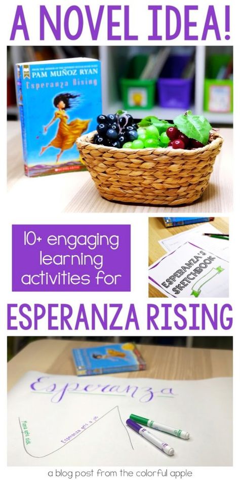 Esperanza Rising Activities, Spanish Novels, Reading Engagement Strategies, Classroom Necessities, Book Study Activities, Esperanza Rising, Reading Interventionist, 5th Grade Ela, 6th Grade Ela