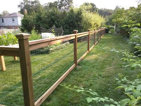 Cedar fence with pressure treated posts and 3 ft welded wire sandwiched between 1x4s along the top and 1x2s along the sides of the panels. WoodRx ultra stain, walnut color. Post caps from Home Depot. Wire And Wood Fence, Backyard Landscaping Along Fence, Landscaping Along Fence, Welded Wire Fence, Cedar Stain, Fence Gates, Post Caps, Dog Run, Horizontal Fence