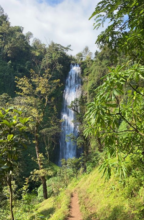 Jungle Asethic, Africa Rainforest, Zanzibar Tanzania Photography, Africa Travel Aesthetic, Tropical Rainforest Aesthetic, Travel Aesthetic Africa, Afrika Aesthetic, Tanzania Landscape, Tanzania Aesthetic