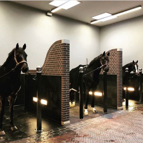 Horse Stable House, Castle Horse Stables, Beautiful Horse Stables, Dream Stables Luxury, Fancy Horse Stables, Fancy Horse Barns, Luxury Stables, Horse Stable Design, Horse Stable Ideas