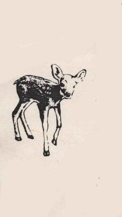 Two Deer Drawing, Deer Ink Drawing, Archeopteryks Tattoo, 1800s Tattoos, Roadkill Tattoo, Vetmed Tattoo, Trad Animal Tattoo, Doe Drawings, Labrador Tattoos