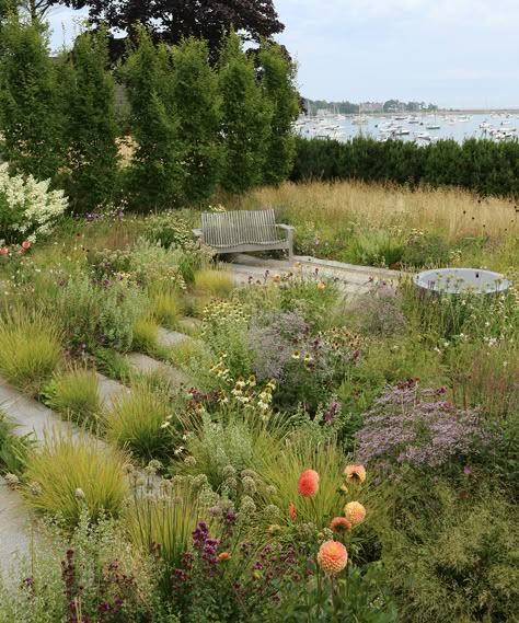 Naturalistic Garden, Medicinal Garden, Prairie Garden, Meadow Garden, Dry Garden, Planting Plan, Garden Kit, Coastal Gardens, Grasses Garden