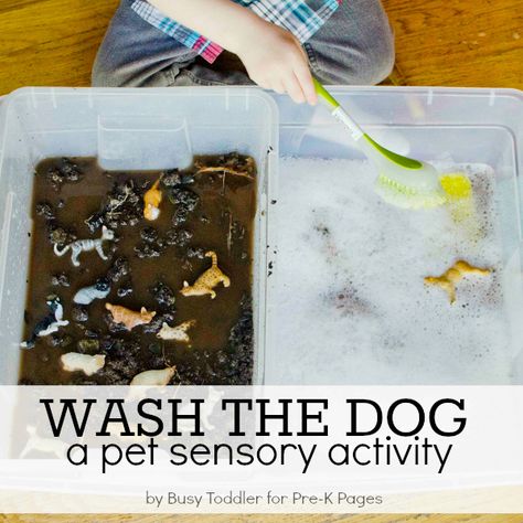 Pet Sensory Activity: Wash the Dog - Pre-K Pages Pet Study, Pet Theme, Pre K Pages, Preschool Teachers, Preschool Craft, Sensory Activity, Activities For Preschool, Creative Curriculum, Sensory Table