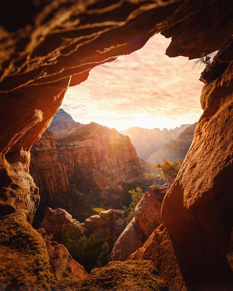 You have found 3/21 natural arches in Zion National Park. Collect $200 and pass Go. Chasing sunset in the desert was a rush, will… Utah Hiking Trails, National Parks Photography, Hiking National Parks, Park Photography, Utah Photography, Utah National Parks, Travel Images, Zion National Park, Road Trip Usa