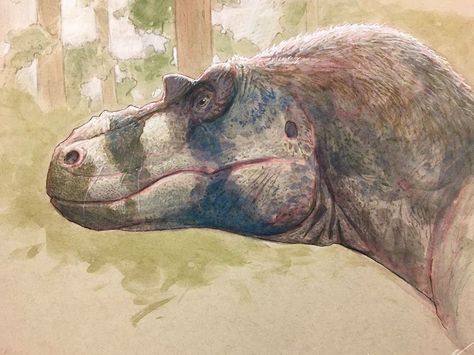 Albertosaurus Paleoart by Henry S. Sharpe Dnd Races, Dinosaur Illustration, Ancient Animals, Paleo Art, Minecraft Art, Jurassic Park World, Dinosaur Art, Dragon Wings, Prehistoric Creatures