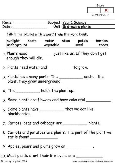 3rd Grade Science Worksheets, Year 1 Science, Third Grade Science Worksheets, Life Cycle Worksheet, Plant Life Cycle Worksheet, 3rd Grade Science, Plant Lessons, Grade 2 Science, Plants Worksheets