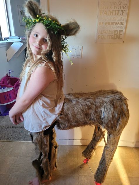 I made this costume for my daughter to be "Miss" Tumnus in a Narnia play. The costume was constructed from cardboard boxes, balls of newspaper, plastic bags, three mini broom handles, a broken frame from a child's doll stroller, and lots of duct tape. Then I hot glued on faux fur which is sold in rolls at Dollarama. There is elastic going from the top of the body under her shirt as a shoulder harness. There is also a belt of cardboard around the waist which fastens with heavy duty velcro. Centaur Costume Diy, Mythical Costumes, Centaur Costume, Fawn Costume, Lion Witch Wardrobe, Puppets Diy, Costume Inspo, Cosplay Halloween, Costume Cosplay