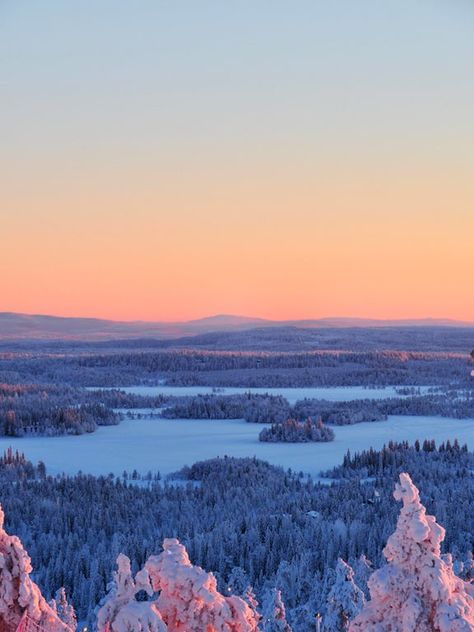 Sunrise at the ski resort I live at, Ruka Ski Resort, Finland. No editing done to the photo, i.e. the colors were literally that corgeous. 3456x4608 [OC] : EarthPorn Finland Landscape Photography, Ruka Ski Resort, Finland Wallpaper, Finland Landscape, Finland Photography, Finland Nature, Majestic Nature, Winter Lake, Background Nature