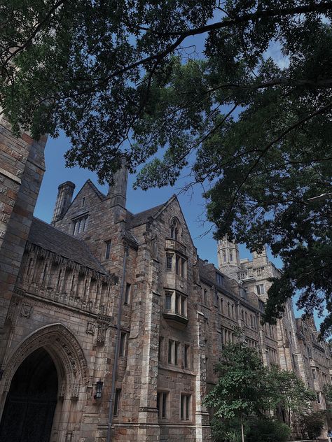 yale university ivy league aesthetic dark academia Ivy League Academia Aesthetic, The Ivies Book Aesthetic, Ivy University Aesthetic, The Ivy League Aesthetic, Old Money Ivy League Aesthetic, Iv League Aesthetic, College University Aesthetic, Ivy School Aesthetic, Rory Gilmore Yale Aesthetic