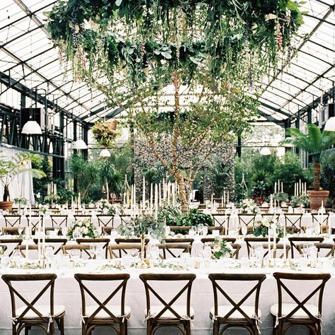 The Ultimate Guide to Enchanting Wedding Venues in Michigan | Planterra Conservatory Planterra Conservatory, Michigan Wedding Venues, Greenhouse Wedding, Enchanted Wedding, Detroit Wedding, Outdoor Wedding Venues, Michigan Wedding, Reception Venues, Rehearsal Dinner