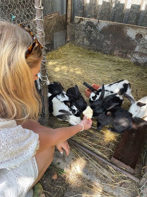 Bunny farm, aesthetic rabbit farm, cute bunny inspo pic, pinterest bunnies, feeding rabbits aesthetic, farm pic inspo Bunny Farm Aesthetic, Pet Rabbit Aesthetic, Petting Zoo Farm Aesthetic, Animal Farm Aesthetic, Rabbits Aesthetic, Farm Bunnies, Mini Farm Animals, Farming Aesthetic, Aesthetic Rabbit