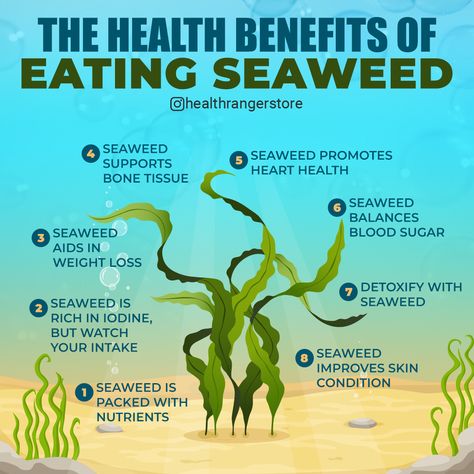 The health benefits of eating seaweed: 8 reasons to eat the “most nutritious vegetable in the world” Eating Seaweed, Most Nutritious Vegetables, Salad Cream, Greek Salad Pasta, Sea Vegetables, Seafood Salad, Salad Recipes For Dinner, Appetizer Salads, Cucumber Salad