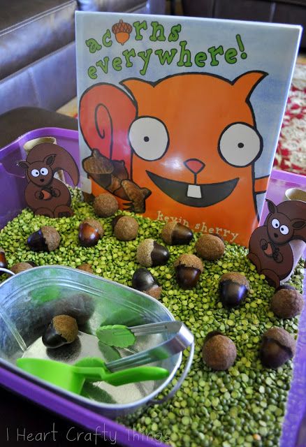 I was super excited to pick up Kevin Sherry’s book “Acorns Everywhere” from the library because I had a sensory bin already in mind for my daughter to go along with it. It’s a really simple book, perfect for toddlers and preschoolers. A squirrel is frantically hiding acorns for the Winter and tries to get … Kindergarten Sensory, Fall Sensory Bin, Fall Sensory, Five Little Pumpkins, Sensory Tubs, Fall Preschool Activities, Sensory Ideas, Fall Lessons, Sensory Boxes