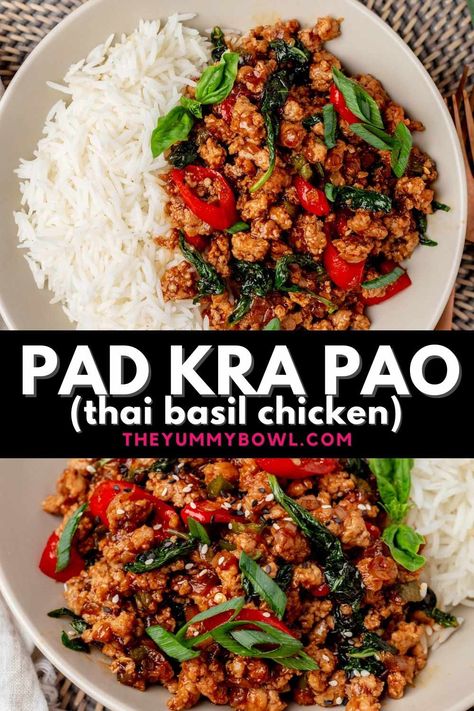 Easy and so quick to whip up, this Thai Basil Chicken will become your new favorite Asian-style dish. It’s salty, sticky, sharp, spicy, and made with plenty of ‘’holy’’ basil which is the star ingredient in this dish. Pad Kra Pao, Thai Basil Chicken, Asian Dinners, Basil Recipes, Basil Chicken, Thai Basil, Holy Basil, Think Food, Chicken Dishes Recipes