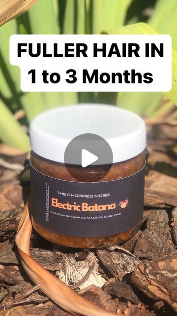 GLOBAL TRANSFORMATIONS on Instagram: "Are you dealing with hair loss? Then you need our high PH alkaline product called Batana Oil. This product is imported from Honduras and is approved by the late and great healer, Dr.sebi. For more information click the link in Bio. 
_________________________________

#hairtransformation #pixiecut #alopeciaawareness #alopeciaawareness" Batana Oil Before And After, Batana Oil Benefits, Batana Oil, Alopecia Awareness, More Information, Oil Benefits, Hair Transformation, Honduras, Pixie Cut