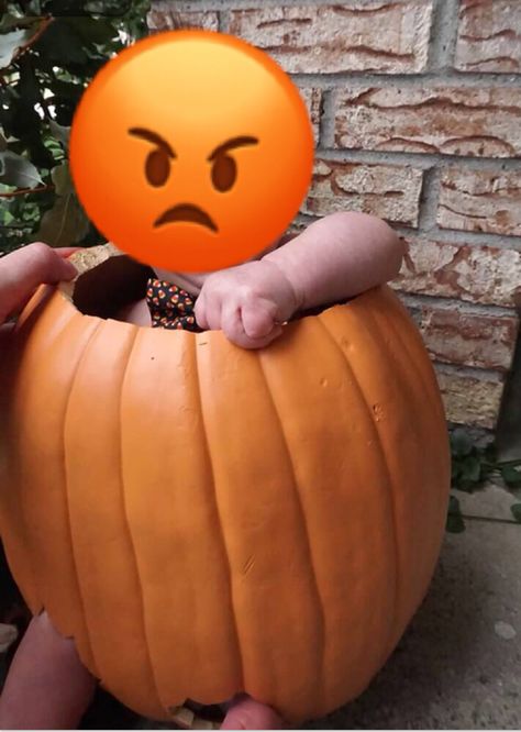 How NOT to take a picture of your baby in a pumpkin! Baby In A Pumpkin Picture, Infant Pumpkin Pictures, Baby In A Pumpkin Photo Ideas, Pumpkin Baby Pictures, Baby In Pumpkin Picture, Babies In Pumpkins, Baby Pumpkin Pictures, Baby Inside Pumpkin, Thanksgiving Baby Pictures