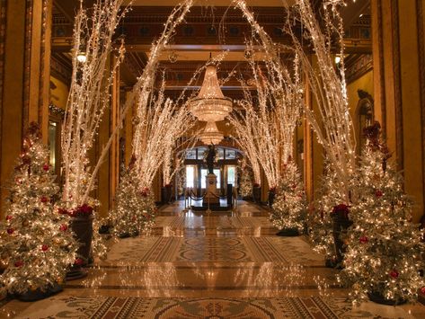 Hotels indoor christmas decoration Christmas Christmas tree aisle lighting christmas lights altar meal ballroom decorated Wedding Tunnel, Wedding Tunnels, New Orleans Christmas, Hotel Christmas, Sangeet Decor, Holiday Lights Display, New Orleans Hotels, Astoria Hotel, Christmas Getaways