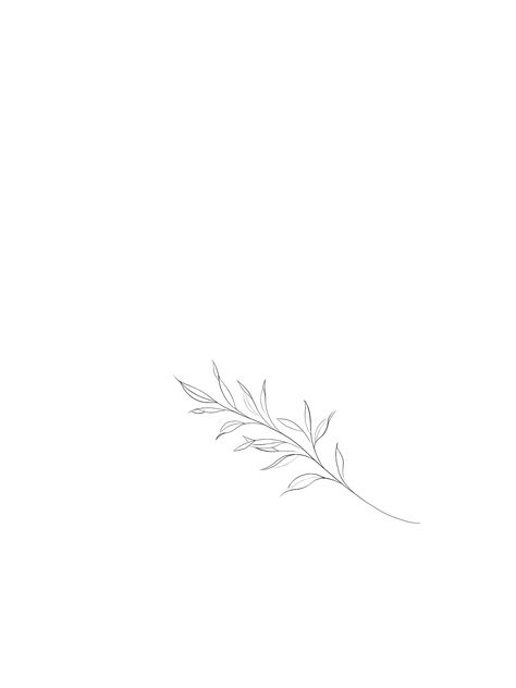 Fine Line Tattoos For Women Wrist, Sage Tattoo Simple, Small New Zealand Tattoo, Olive Fine Line Tattoo, Fineline Leaf Tattoo, Olive Vine Tattoos For Women, Fineline Vine Tattoos, Dainty Fineline Tattoos, Dainty Leaves Tattoo