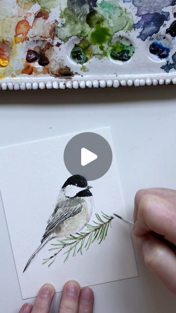 Emily Lex on Instagram: "I’ve been working on a few new illustrations for the Christmas season and this little chickadee is one of them!  A few things about this painting (and my painting style in general):  1. I use a photo for reference. It’s off to the side of the video, but it’s there. I need it to figure out how to sketch, how to shade, how to do proportions. There’s no shame in referencing a photo.  2. I paint in lots of layers, building up color, texture, contrast as I go. The paintings start so dull (because  I start with light colors first!) and as the darker shades are added, the artwork comes to life. That’s why watching to the end of the video is so satisfying.  3. I like painting small. I cut a piece of watercolor paper down to 5.5 x 4.25.   4. Sketching this birdie took me 4 Watercolor Birds Easy Step By Step, Watercolor Chickadee Tutorial, Watercolor Chickadee Paintings, Watercolor Christmas Cards Tutorial How To Paint, How To Paint A Bird, Winter Birds Painting, Christmas Watercolor Tutorial, Watercolor Birds Easy, Chickadee Drawing