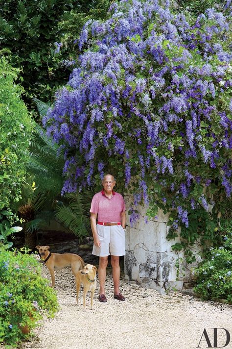 Purple petrea in bloom on a stone wall shades Oscar de la Renta and two of his dogs | archdigest.com Dominican Republic Beaches, Tattoo Plant, Pergola Kits, Pergola Designs, Celebrity Houses, Lush Garden, Punta Cana, Tropical Garden, Architectural Digest