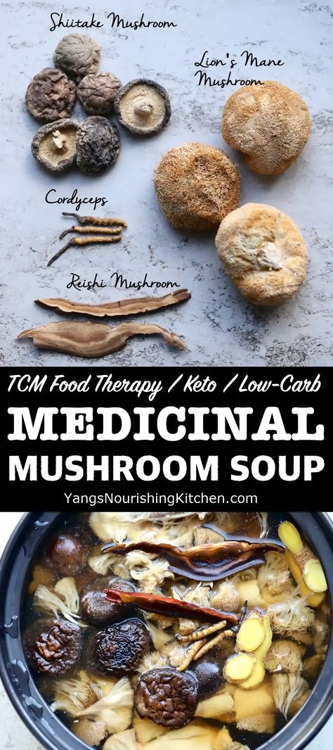 Medicinal Soup Recipes, Healing Mushroom Soup, Mushroom Broth Recipe, Dried Mushroom Soup, Medicinal Mushroom Recipes, Mushroom Stock Recipe, Chinese Mushroom Soup, Mushroom Broth Soup, Reishi Mushroom Recipe