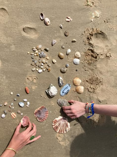 Picking seashells on the beach / coquillage sur la plage Shell Beach Aesthetic, Beach Aesthetic Seashells, Collecting Seashells Aesthetic, Beach Shells Aesthetic, Sea Shell Aesthetic, Shells Aesthetics, Finding Seashells, Shells On Beach, Collect Seashells