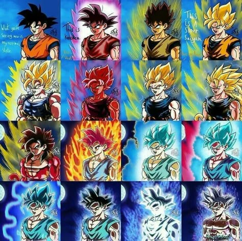 Goku All Transformations, Goku All Forms, Cell Jr, Dragon Ball Wallpaper, Dragon Ball Z Dragon, Dragon Ball Z Iphone Wallpaper, Ball Wallpaper, 2560x1440 Wallpaper, Dragon Ball Painting