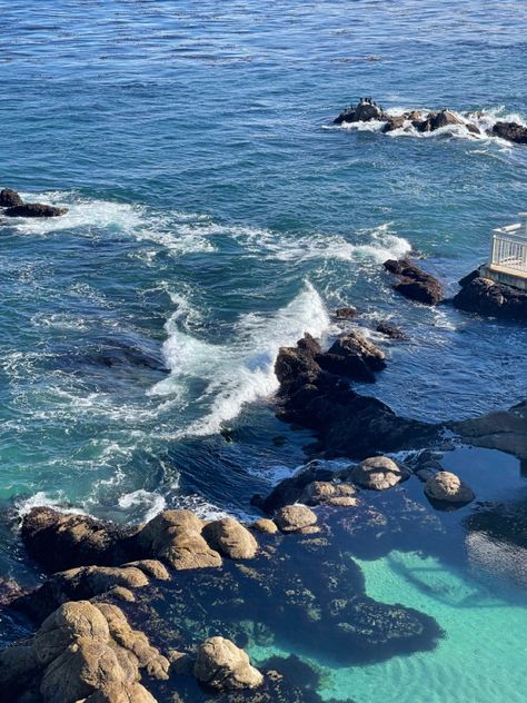 California Ocean Aesthetic, Monterey Bay Aesthetic, Monterrey Bay Aquarium California, Berkeley California Aesthetic, Monterey Bay Aquarium Aesthetic, North California Aesthetic, Things To Do In Monterey California, Monterey California Aesthetic, Monterey Aesthetic