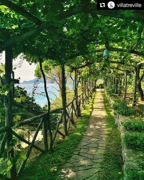 Airplants Ideas, Villa Treville, Italian Gardens, Positano Italy, Italy Holidays, Italian Garden, Garden Pathway, Travel Locations, Beautiful Sights