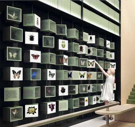 Gallery Wall Images, Museum Exhibition Design Display, Exhibit Design Inspiration, Office Reception Design, Museum Exhibition Design, Jewelry Store Design, Memory Wall, Joinery Design, Interactive Display