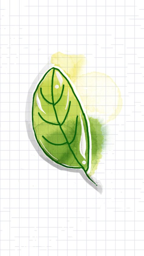 Tayasui Sketches Ideas, Sketches Cool, Green Leaf Watercolor, Tayasui Sketches, Leaf Watercolor, Sketches Ideas, Watercolor Ideas, Green Leaf, Green Leaves