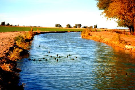 Canal at Holtville Imperial Valley California Counting Blessings, Imperial Valley, California Pictures, On A Dark Desert Highway, Desert Highway, Dark Desert, California Desert, Golden State, Travel Bucket List