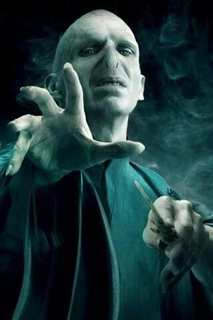 Lord Voldemort Tom Riddle, Harry Potter Voldemort, Harry Potter Wiki, Potter Tattoo, Severus Rogue, Images Harry Potter, Bellatrix Lestrange, Best Villains, Mary Sue