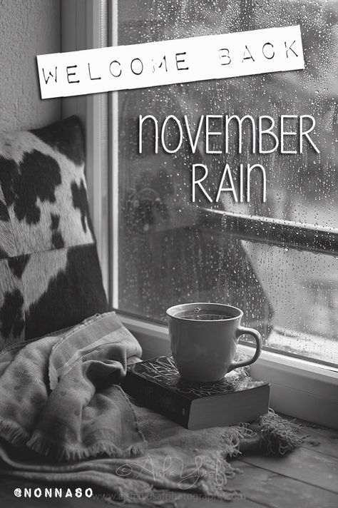 welcome back november rain Rain Wallpaper, Welcome November, November Rain, Rain Wallpapers, Welcome Back, Roses, Novelty Sign, Collage, Memes