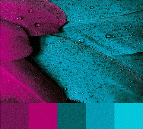 I love this bright and cheerful magenta, burgundy, green and blue color palette - perhaps for a more traditional brand that wants a modern and friendly twist?   #brandcolor #colorinspiration #colorpalette Teal And Magenta Color Palette, Teal Fuchsia Color Palette, Magenta Complimentary Colors, Viva Magenta Colour Palette, Dark Magenta Color Palette, Turquoise And Fuschia, Fusha Color Palette, Viva Magenta Palette, Magenta Teal Color Palette