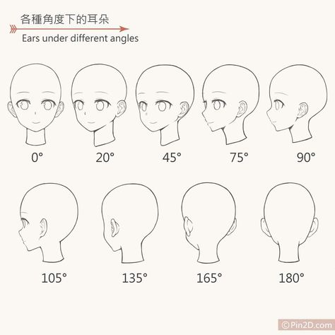 Muscle Face, Anime Face Shapes, Head Drawing, 얼굴 드로잉, Drawing Tutorial Face, Anime Head, 얼굴 그리기, Manga Drawing Tutorials, Drawing Heads