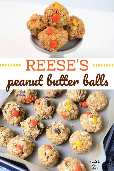 Reese Protein Balls, Reeses Protein Bites, Reese’s Protein Balls, Reeses Pieces Protein Balls, Reeces Pieces Peanut Butter Ball, Protein Balls With Pb2, Reeses Pieces Dessert Recipes, Reeces Pieces Recipes, Peanut Butter Protein Balls No Bake