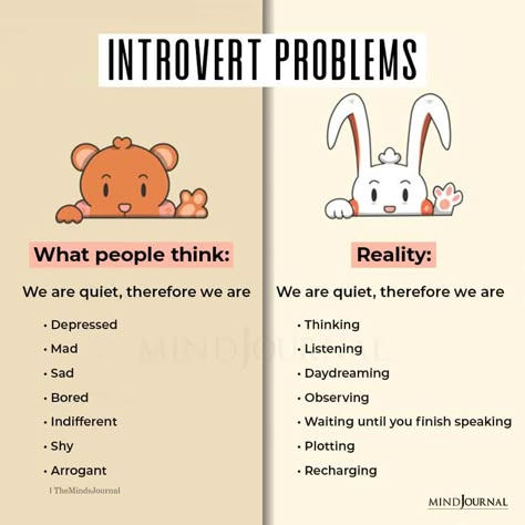 Introverts Funny Quotes, Maybe I Am The Problem Quotes, Introvert Girl Quotes, Quotes For Introvert Girl, Introvert Pfp, Introvert X Extrovert, Introvert Quotes Funny, Quotes About Introverts, Introverted Quotes