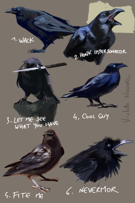 Cute Crow Art, Crows Drawing, Tag Yourself, Crow Art, Raven Art, Crows Ravens, Arte Cyberpunk, Creature Drawings, Animal Sketches