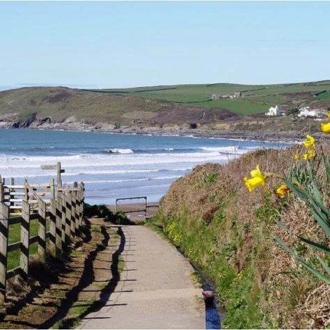 LOVE THIS PLACE!!   Spring at Croyde Bay Croyde Beach North Devon #NDevon #NorthDevon #Devon Painting Geraniums, Croyde Bay Devon, Croyde Bay, Croyde Devon, South West Coast Path Cornwall, Devon Beaches, British Beaches, Dartmoor Devon, South West Coast Path